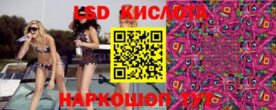 индика Ипатово