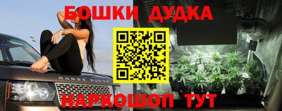 индика Ипатово