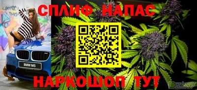 индика Ипатово