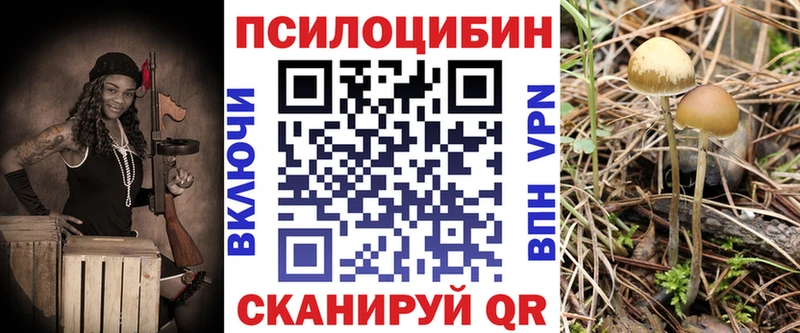 Псилоцибиновые грибы прущие грибы mega зеркало Лесозаводск
