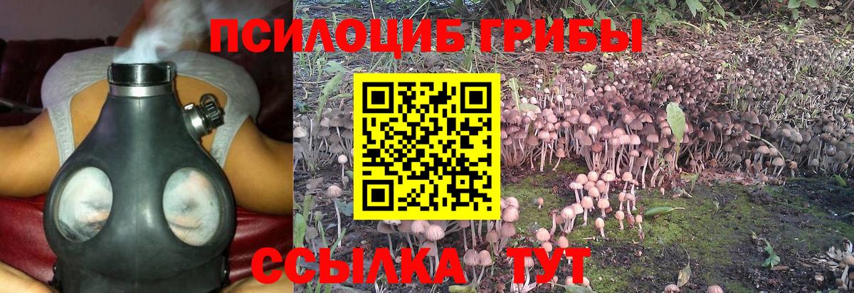 Галлюциногенные грибы MAGIC MUSHROOMS  Вход с VPN  Лесозаводск 